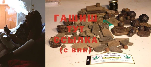 индика Сясьстрой