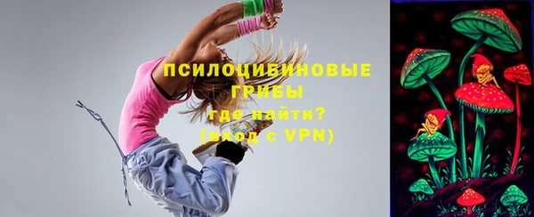 сатива Зерноград