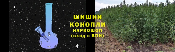 сатива Зерноград