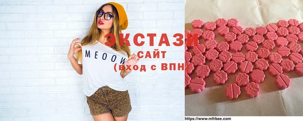 мдпв Инсар