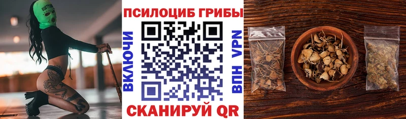 Купить  Кувандык  Псилоцибиновые грибы MAGIC MUSHROOMS 